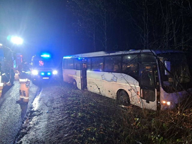 Autobus zjechał z drogi i na poboczu uderzył w drzewo. Pomocy wymagały dwie osoby.