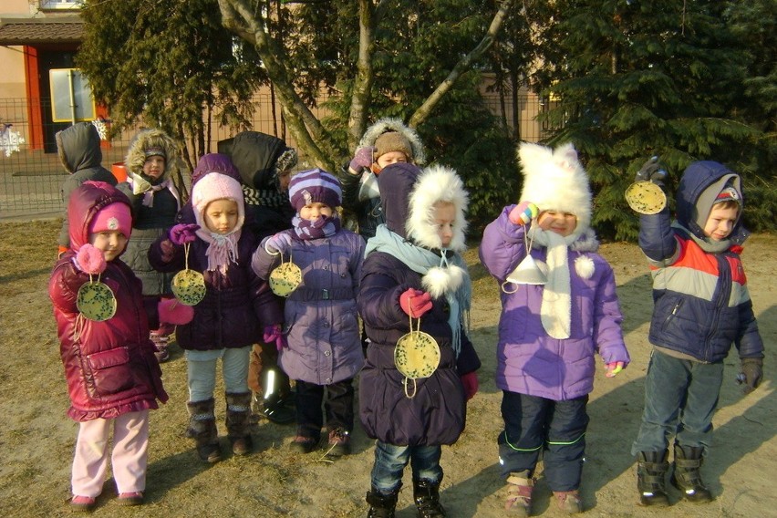 Przedszkolaki opiekują się ptakami w czasie zimy