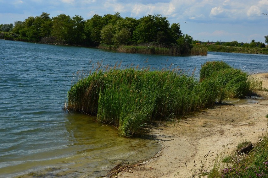 Dawna żwirownia w Brzegach koło Wieliczki jest urokliwym...