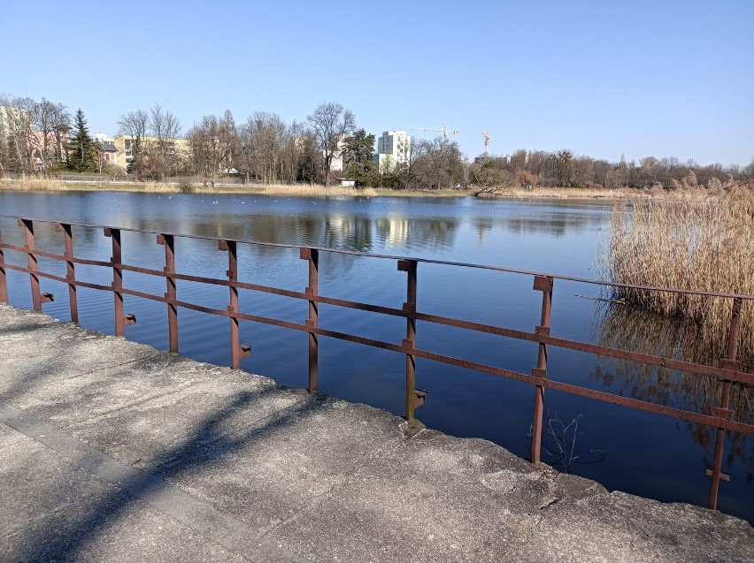 Zwłoki młodego cudzoziemca w stawie przy ul. Przędzalnianej. W kieszeni miał paszport...