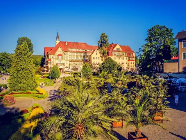 Kudowski Park Zdrojowy słynie z egzotycznej roślinności