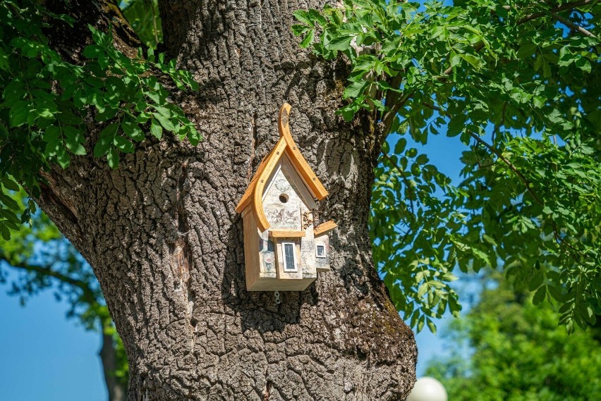 W takich ekskluzywnych domkach zamieszkają ptaki w parku dworskim koło Nowego Sącza. To kolejna akcja "Wyznaczamy Nowe Kierunki"