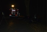 Śmiertelny wypadek w Dretyniu. Samochód uderzył w drzewo. Dwie osoby nie żyją [ZDJĘCIA, WIDEO]