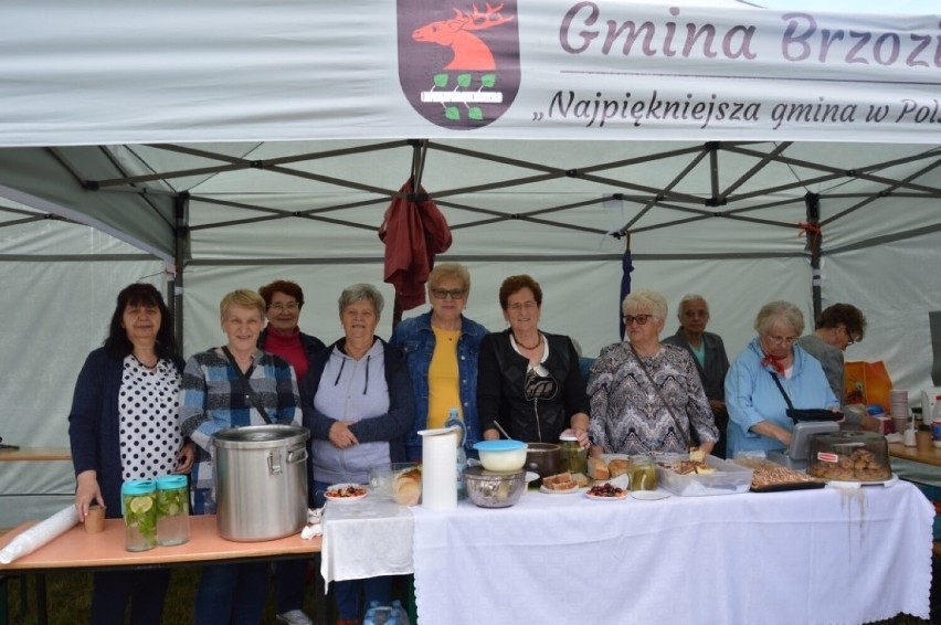 Pomimo pogody w kratkę mieszkańcy gminy Brzozie i okolic...