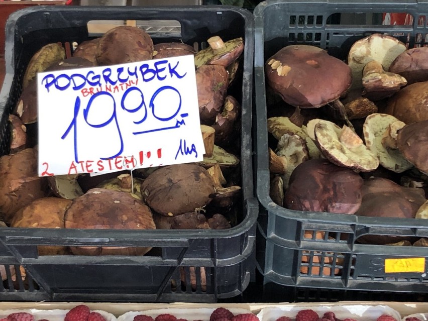 Oto ceny świeżych grzybów na wrocławskim targowisku (ZDJĘCIA)