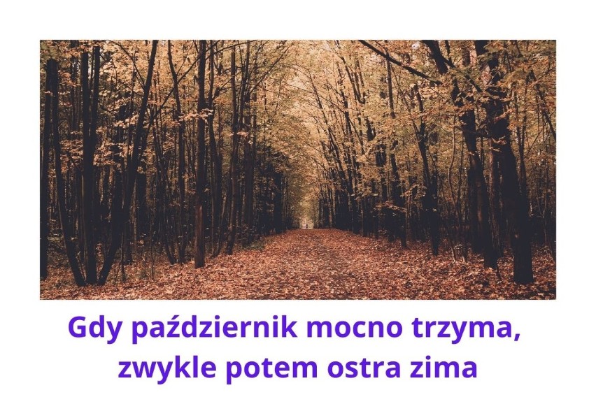 Przysłowia na październik