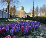 Weekend majowy 2022 w Sanktuarium Matki Bożej Licheńskiej