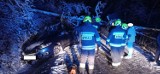 Tarnowskie. Mnóstwo interwencji strażaków w związku z zimą. Pod Zakliczynem i w Okocimiu drzewa spadły na przejeżdżające drogą samochody