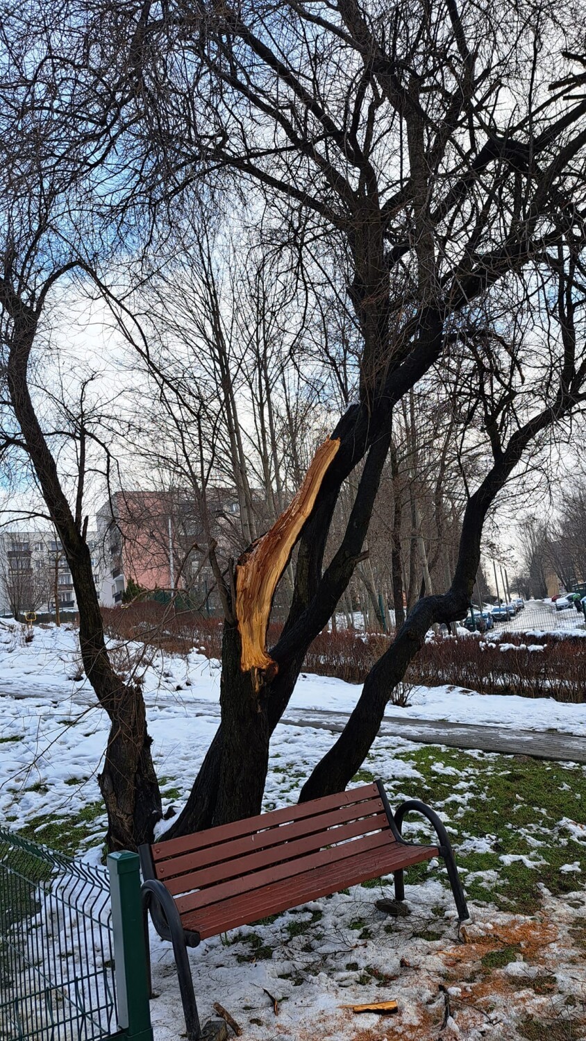 Zielony Zakątek w Bielsku-Białej zniszczony przez wandali. Wyrwane ławki, uszkodzone ogrodzenie, połamane drzewo