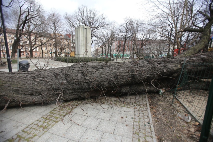  Śląskie: Po wieczornych wichurach pozrywane dachy, połamane drzewa i tysiące ludzi bez prądu [ZDJĘCIA]