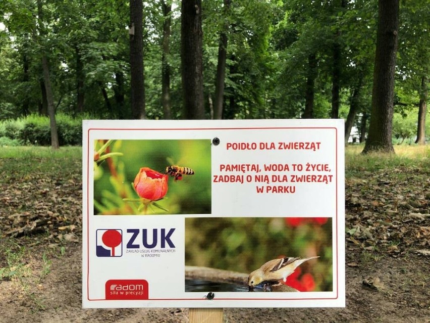 Poidełka dla zwierzaków w parkach w Radomiu. Zakład Komunalny daje pić w upały, ty też zatroszcz się o owady, ptaki, czy psy - wystaw wodę!