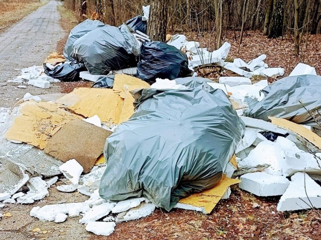 Odpady remontowo-budowlane ktoś porzucił nad jeziorami Pogoria, a opony w 2021 roku wylądowały przy ulicy Dąbrowszczaków 

Zobacz kolejne zdjęcia/plansze. Przesuwaj zdjęcia w prawo - naciśnij strzałkę lub przycisk NASTĘPNE