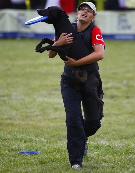 Na Cytadeli psy walczą o tytuł mistrza Europy Dogfrisbee...