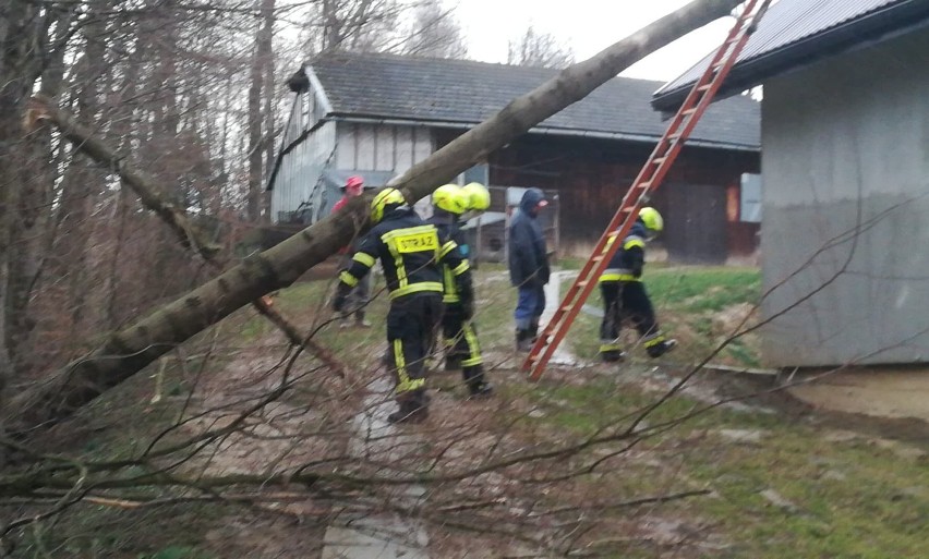Za nami wietrzna noc. Strażacy usuwają powalone drzewa, pomagają przy uszkodzonych dachach
