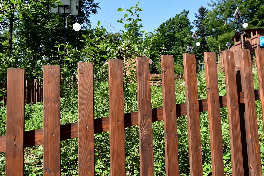 Zarośnięte schody, wypaczone deski. Stan parku na Magurze...