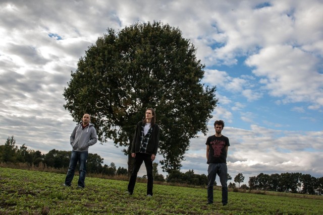 Cornea Tree na Rock Nocą w Zielonej Górze