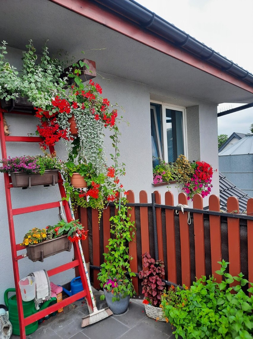 Powiat szamotulski. Mieszkańcy pochwalili się swoimi ogrodami i balkonami