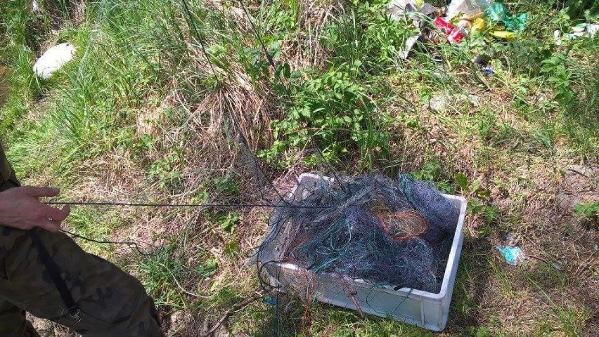 Kłusownik w Dobiegniewie zatrzymany. Zabezpieczono 500 metrów sieci rybackich na jeziorze Ługowisko