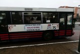 Zabytkowy autobus volvo znów do zobaczenia na ulicach Szczecina
