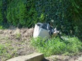 Zduńska Wola. Mieszkańcy skarżą się na działkowców, że wyrzucają śmieci na drogi [zdjęcia]