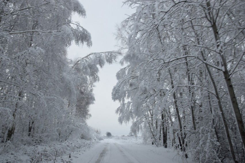 Ostrzeżenie przed intensywnym śniegiem w Zduńskiej Woli. Prognoza na weekend