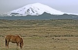 Islandia. Wulkan Hekla podnosi teren. Wkrótce może wybuchnąć