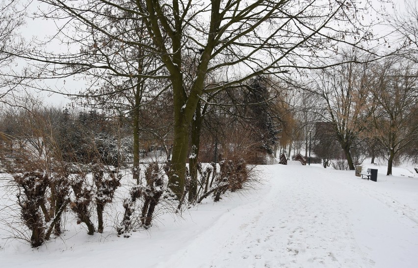 Czy Park Przyjaźni to dobre miejsce na aleję Miast...