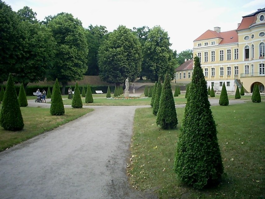Widok na park - w głębi Pałac.Fot. Dorota Michalczak