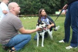 Animaliówka 2012: Psy piknikują nad Rusałką