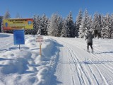 Zakopane. Miasto kupiło działki od górali, by stworzyć tam trasy biegowe dla narciarzy