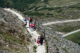 Zakończył się okres ochrony cietrzewia. Karkonoski Park Narodowy otwiera zamknięte szlaki!