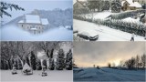 Pierwszy śnieg na Lubelszczyźnie. W regionie zrobiło się biało. Zobacz zdjęcia Czytelników