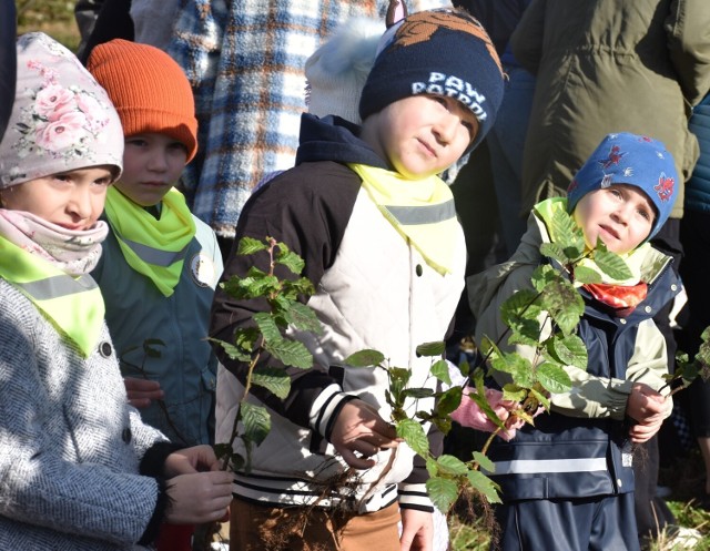 Wspólne sadzenie drzew w Malborku było wielką atrakcją dla sześciolatków z Przedszkola Czerwony Kapturek.