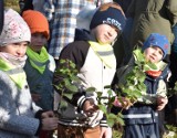 W Malborku posadzono 113 drzew w "elektrycznym lesie". To sadzonki przekazane miastu za elektrośmieci, których górę oddali mieszkańcy