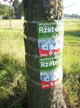 Plakaty wyborcze, czyli taśmą przeźroczystą do drzewa (Materiał Dziennikarza Obywatelskiego)