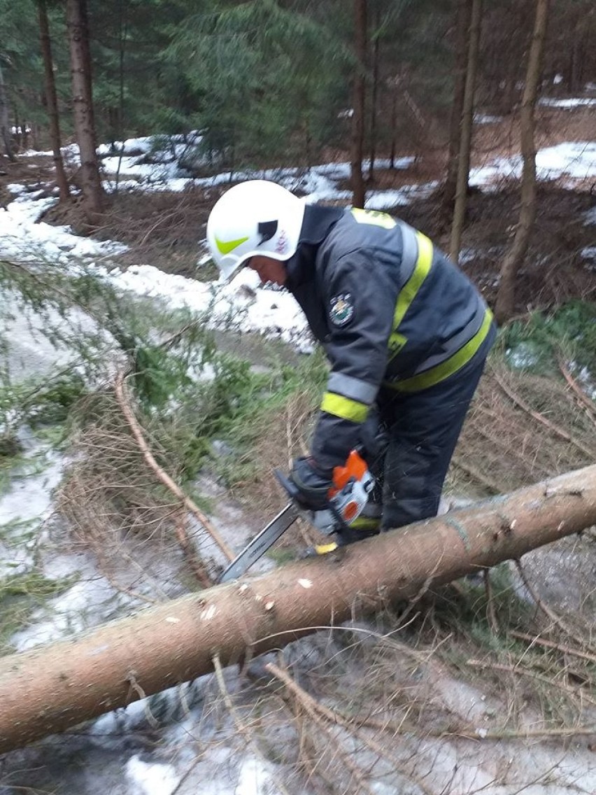 Wichura w powiecie cieszyńskim: prawie czterdzieści zgłoszeń, połamane drzewa i zerwane dachówki