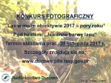 Konkurs fotograficzny Nadleśnictwa Durowo 