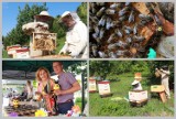 Tak wygląda praca przy pszczołach w pasiece na Zawiślu we Włocławku [zdjęcia]