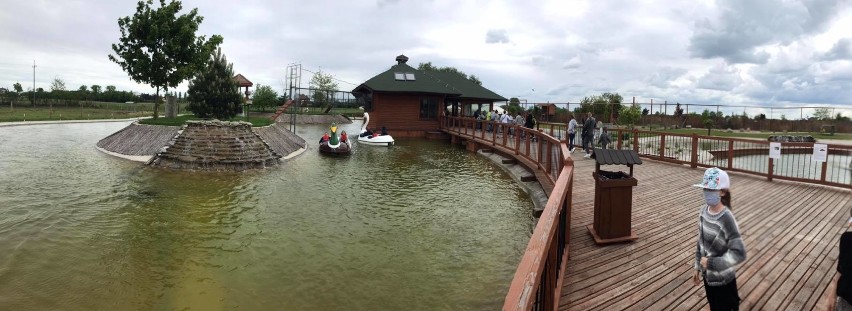 Mieszkańcy regionu tłumnie odwiedzili ZOO Safari w Borysewie. Zwierzyniec przygotowuje się na Dzień Dziecka! [ZDJĘCIA]