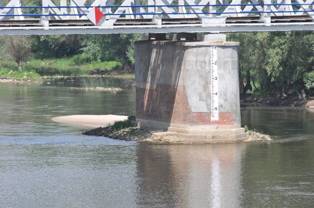 Tak wygląda Warta w Kostrzynie nad Odrą na początku czerwca. Eksperci zapowiadają, że poziom rzeki może być jeszcze niższy.