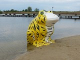 Nad zalewem w Żółtańcach pojawiła się żółta żaba, będzie atrakcją dla turystów?