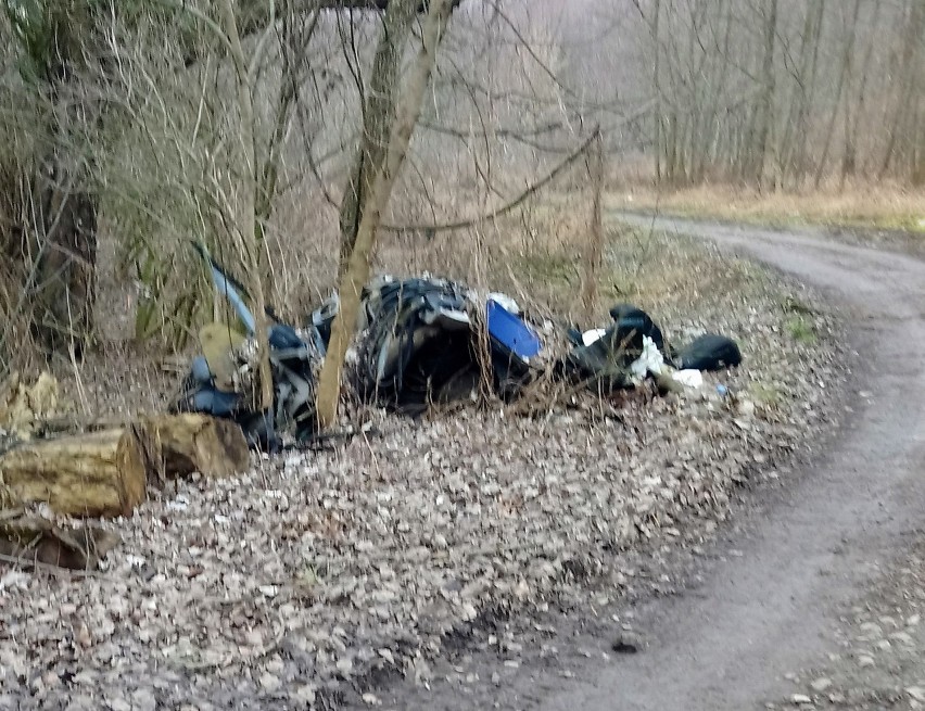 Problem dzikich wysypisk narasta. Jeden z mieszkańców...