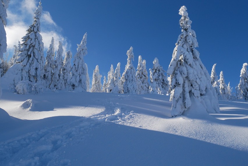 Zimowe atrakcje w okolicy Małopolski zachodniej