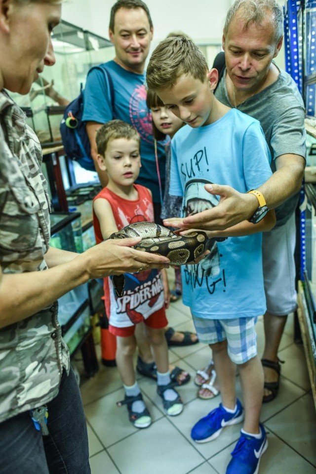 Ogród Zoologiczny w Myślęcinku w Bydgoszczy świętuje w tym roku jubileusz 40-lecia istnienia.


Tak szaleli na drogach w regionie. To cud, że ludzie przeżyli! [wideo - Program Stop Agresji Drogowej]

