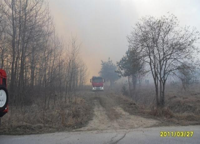 Kolejne zgłoszenie o pożarze lasu w miejscowości Czyżów gm....