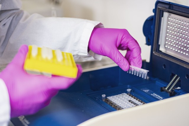 Laboratorium z Gdańska GeneMe wyprodukowało testy na koronawirusa