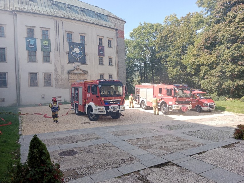 Strażackie ćwiczenia na zamku w Międzylesiu  