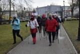 Skierniewickie Amazonki uprawiały Nordic Walking w parku ZDJĘCIA