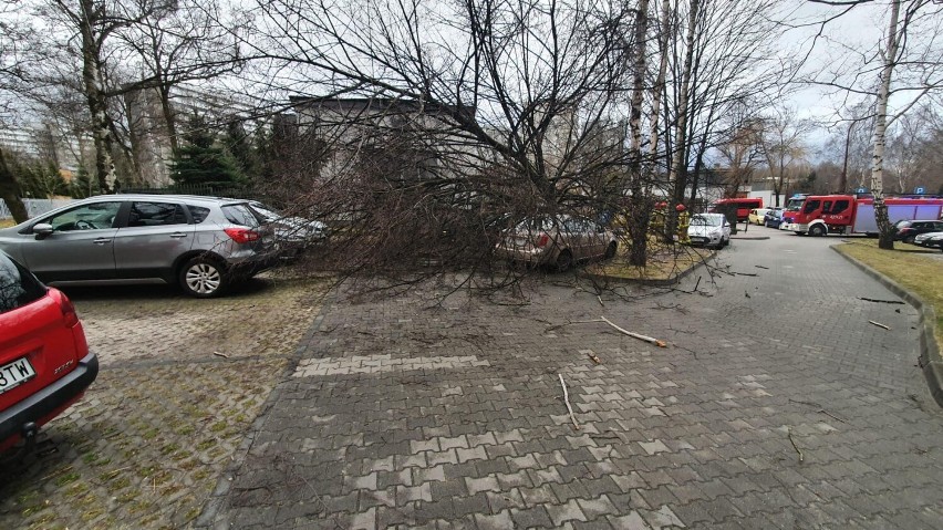 Orkan Dudley w Katowicach. Straż Pożarna miała 14 interwencji 