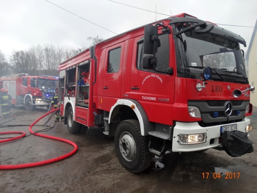 Pożar budynku gospodarczego w Masłowicach Tuchomskich. Interweniowali strażacy [ZDJĘCIA] 